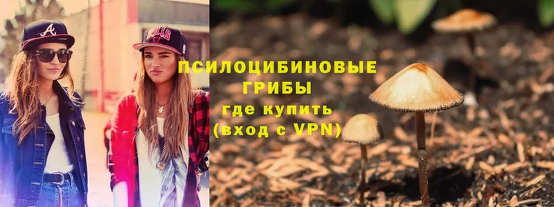 мега ссылка  купить закладку  Валуйки  Галлюциногенные грибы Psilocybine cubensis 